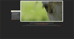 Desktop Screenshot of photography.have-dog.com