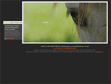 Tablet Screenshot of photography.have-dog.com