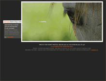 Tablet Screenshot of photog.have-dog.com